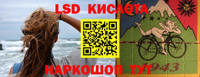 прущие грибы Донецк