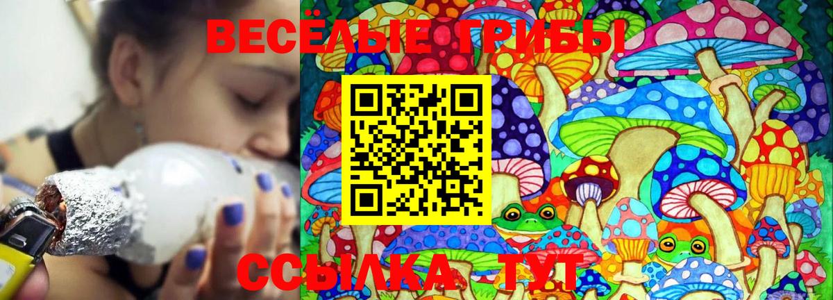 Галлюциногенные грибы мицелий Людиново